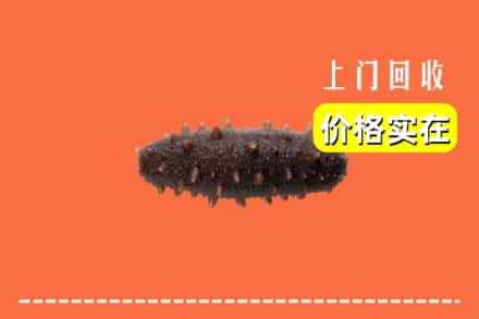 廉江市回收海参
