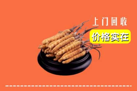 廉江市回收冬虫夏草
