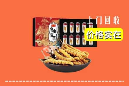 廉江市回收虫草