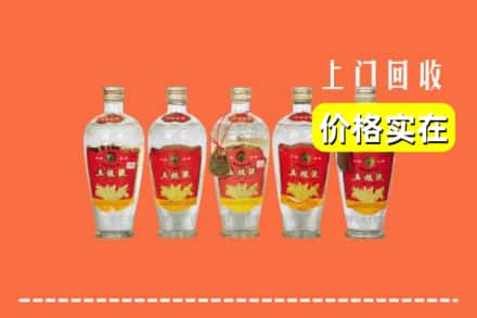 廉江市回收老五粮液